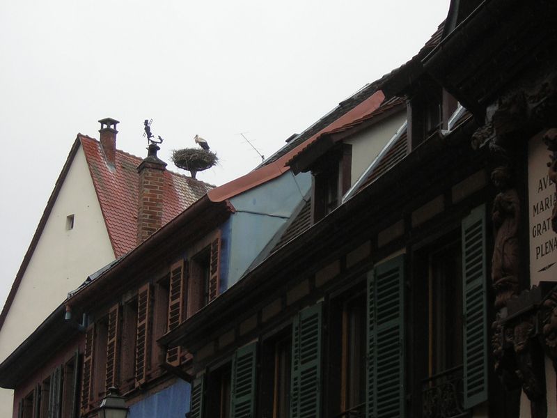 Obernai_2007-05-17 11h00m15s.jpg